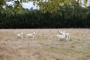 StayAU 2BR Yarra Valley Cottage