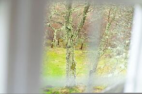 Westerpark Countryside Cottage Aswanley Aberdeenshire