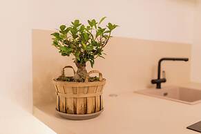 Spazo CMM - Sant'Arpino