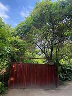 Tiny Houses Unique Tayrona