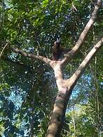 Tiny Houses Unique Tayrona