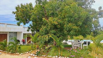 Cave Diani Studio Apartments