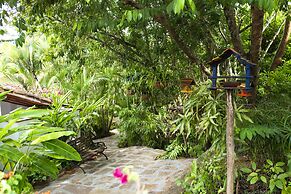 Masaya Collection Achiotte