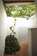 Masaya Collection Achiotte