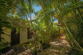 Masaya Collection Achiotte