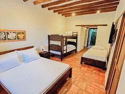 Masaya Collection Achiotte