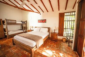 Masaya Collection Achiotte