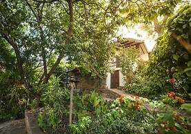 Masaya Collection Achiotte