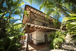 Masaya Collection Achiotte