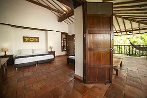 Masaya Collection Achiotte