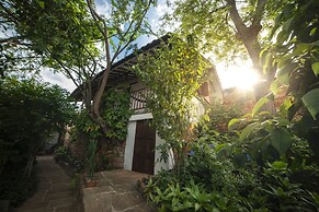 Masaya Collection Achiotte