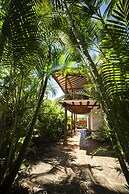 Masaya Collection Achiotte