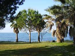 Type B Superieur in Brucoli