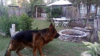 Dark Green House - Chacras de Coria