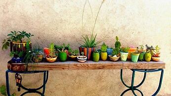 Dark Green House - Chacras de Coria