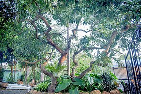 Memory Lane Accommodation