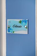 B&B Annita - Porto Cesareo