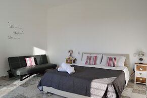 3807 VM - Mono Terra by Barbarhouse