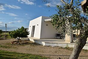 3807 VM - Mono Terra by Barbarhouse