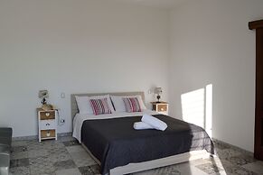 3807 VM - Mono Terra by Barbarhouse