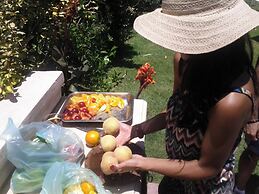 Mendoza Leisure Time Guest House Chacras de Coria