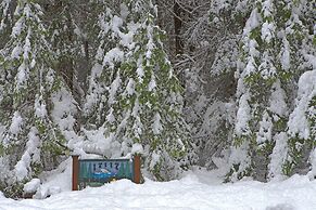Four Stone Lodge Near Mt Rainier