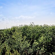 Treasured Cove Condo