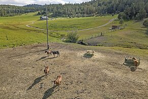 Frontier Cabin at Eden Valley Ranch