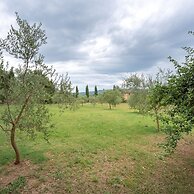 Apartment in Chianti With Pool ID 513