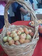 Bed and breakfast Villa Angelina