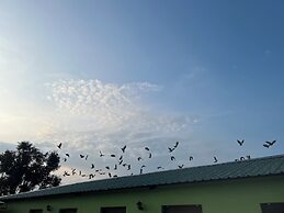 Green Valley Sariska