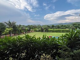 Green Valley Sariska