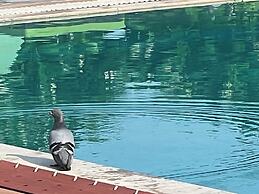 Green Valley Sariska