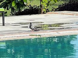 Green Valley Sariska