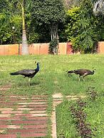 Green Valley Sariska