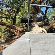 Cabañas Grasshopper