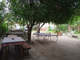 Jaracanda Hostel San Marcos