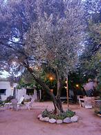 Jaracanda Hostel San Marcos