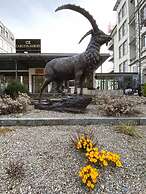 Carlton-Europe Vintage Adults Hotel