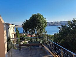 Lantana ex.Vila Americana