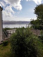 Lantana ex.Vila Americana