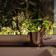 Villa Alberobb in Alberobello