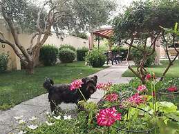 Affitacamere Domo - Mari