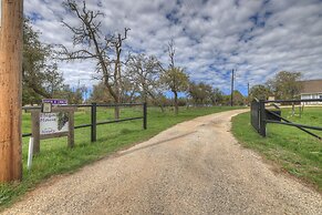 The Elizabeth Haus Lower