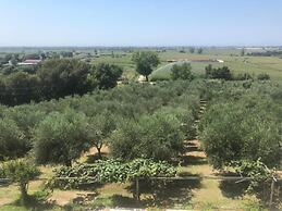 Residenza Giancesare Family Apartments