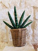 Augusta Trulli Resort