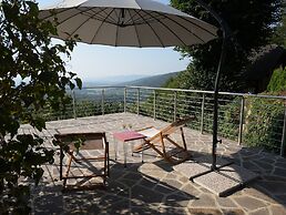 Vineyard cottage SkyView