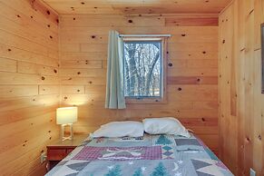 Serene Park Rapids Cabin: Fire Pit, Lake Access!