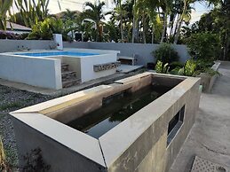 The Dream Nest At Csompo Silver Manor