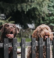 Appartements Enzian by we rent